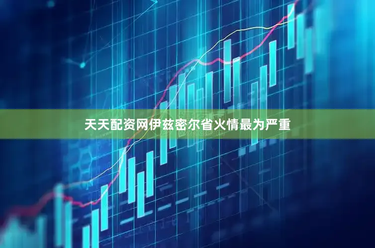 天天配资网伊兹密尔省火情最为严重