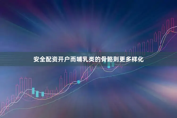 安全配资开户而哺乳类的骨骼则更多样化