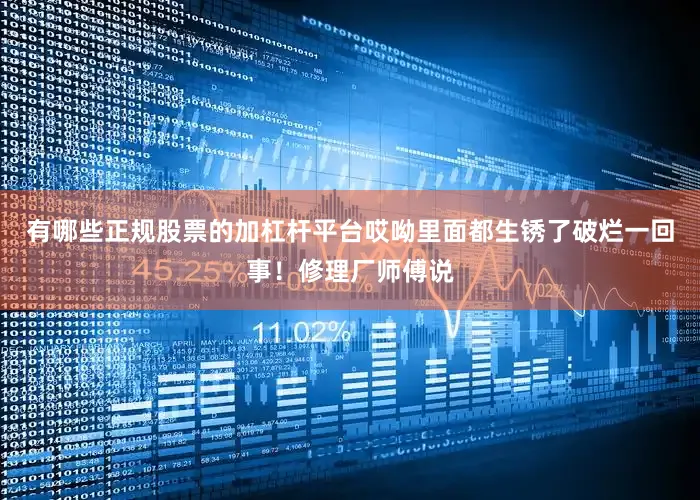 有哪些正规股票的加杠杆平台哎呦里面都生锈了破烂一回事！修理厂师傅说